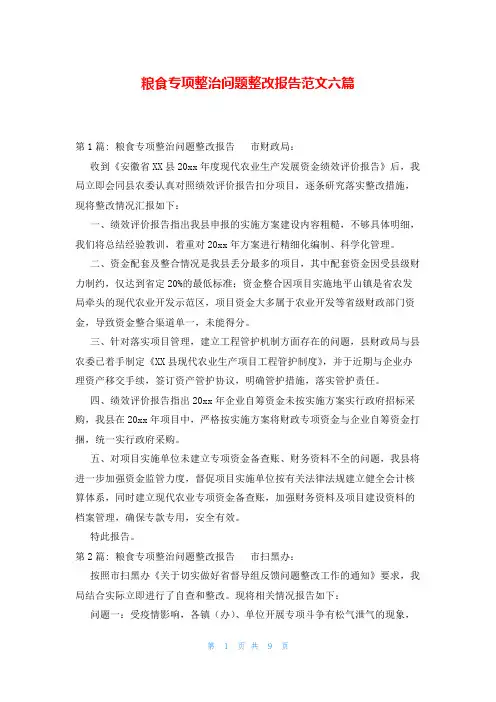 粮食专项整治问题整改报告范文六篇