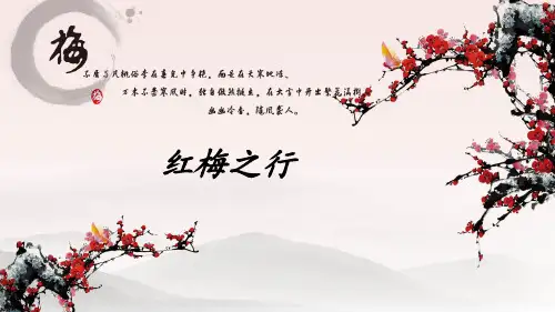 红梅公园介绍..