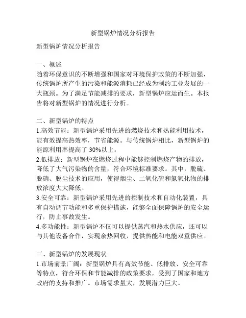 新型锅炉情况分析报告