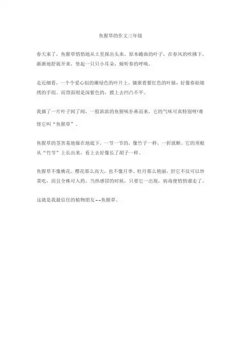 鱼腥草的作文三年级