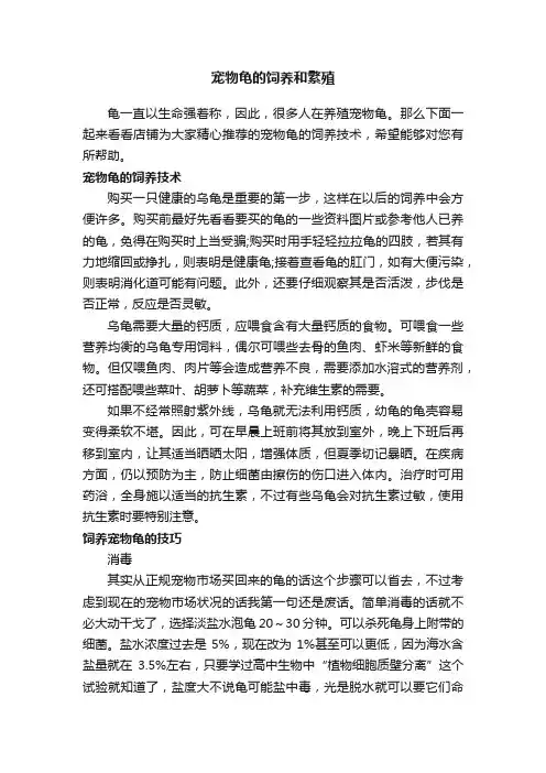 宠物龟的饲养和繁殖