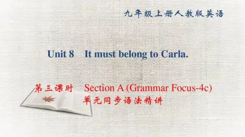 人教版九年级英语全册课件：Unit 8  第三课时 Section A (Grammar Focus4c) 单元同步语法精讲