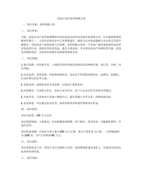 创业计划书农村种植玉米