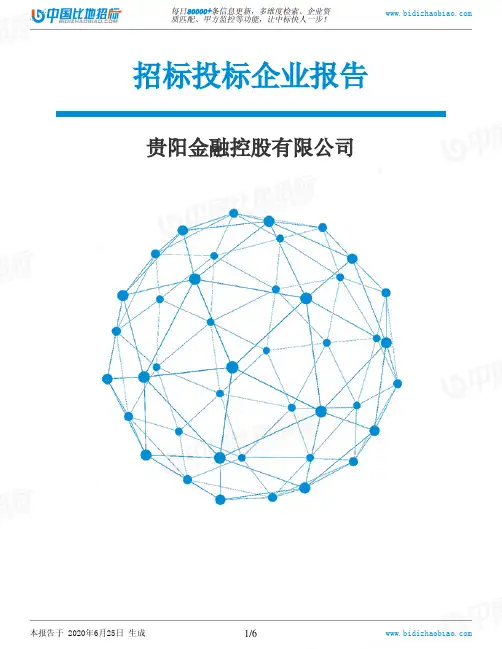 贵阳金融控股有限公司-招投标数据分析报告