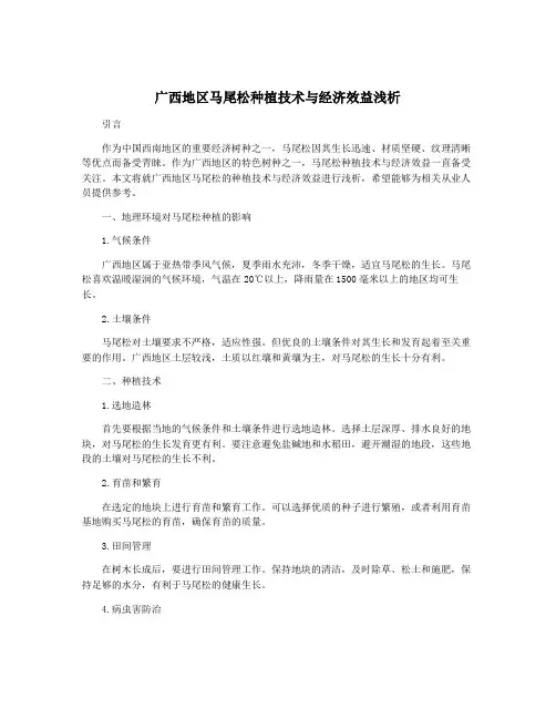 广西地区马尾松种植技术与经济效益浅析
