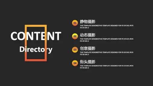经典高端共赢未来欧美黑白简约摄影师摄影作品集ppt模板课件