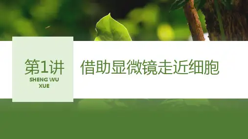 2024届高三生物一轮复习课件第1讲 走近细胞