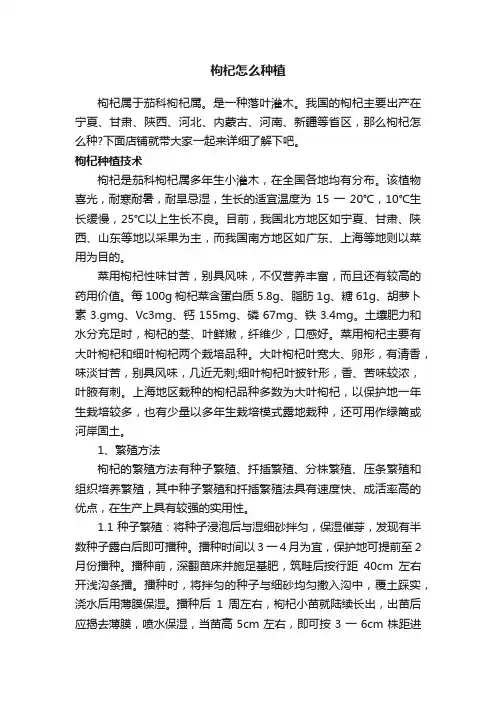 枸杞怎么种植