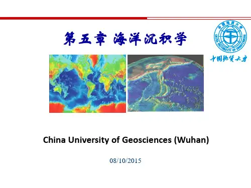 08海洋沉积之大陆边缘沉积及大洋沉积_海洋地质学系列