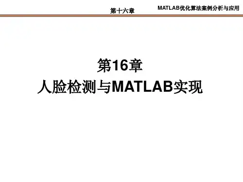 第16章   人脸检测与MATLAB实现