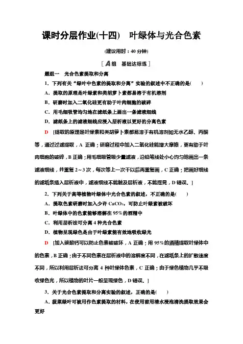 2021版高中生物新教材浙科版必修第一册课时分层作业 14 叶绿体与光合色素 (含解析)