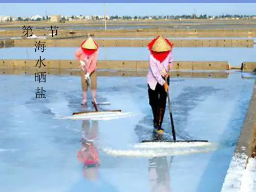 化学九年《海水“晒盐”》课件