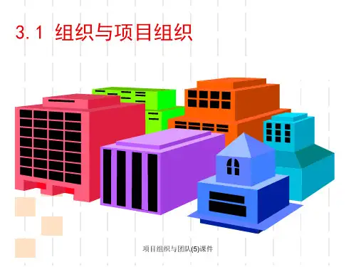 项目组织与团队5课件