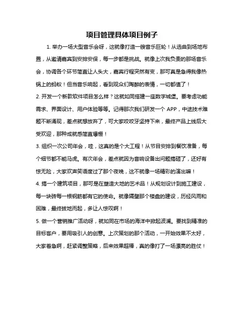 项目管理具体项目例子