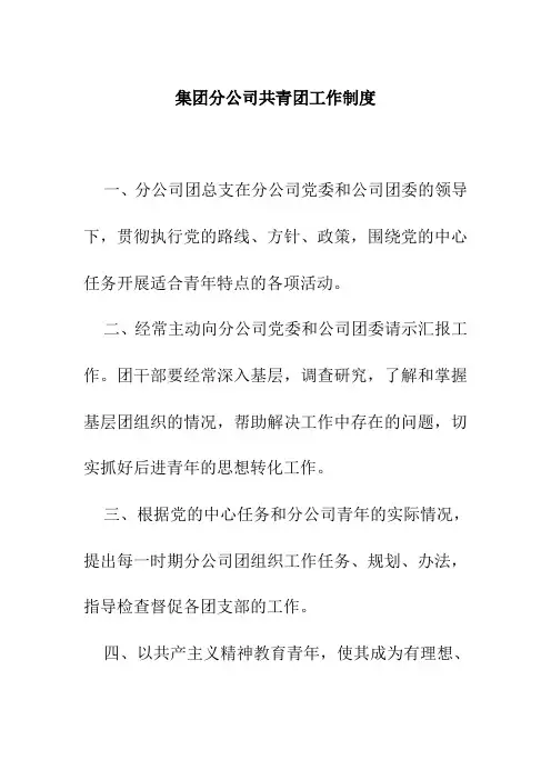 集团分公司共青团工作制度