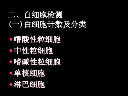 二、白细胞检测 PPT课件