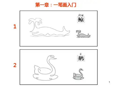 从易到难简笔画教程(减压右脑开发课件)