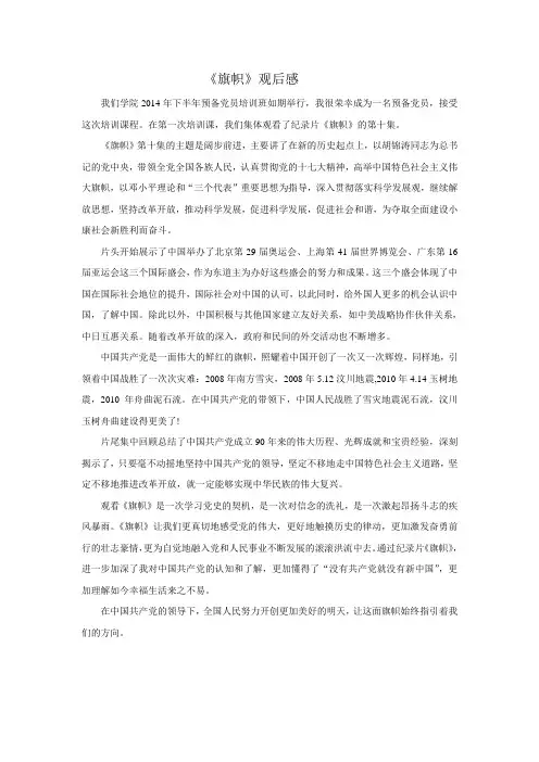 《旗帜》观后感