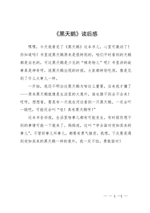 《黑天鹅》读后感ppt