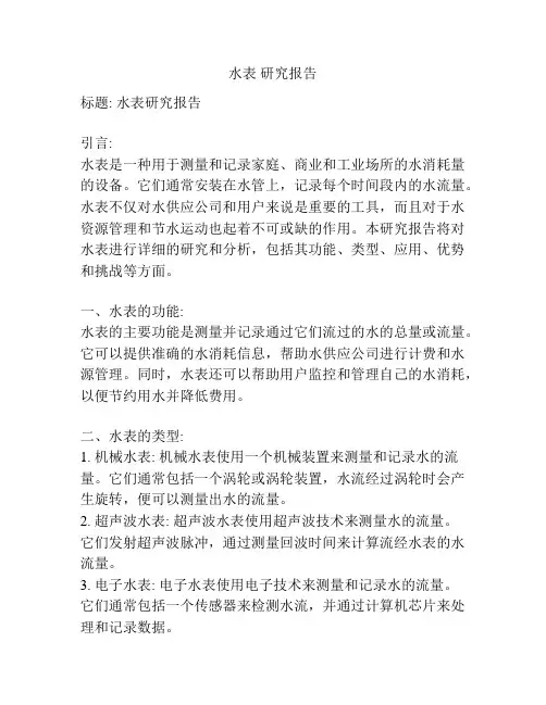 水表 研究报告