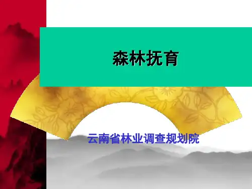 森林抚育PPT课件