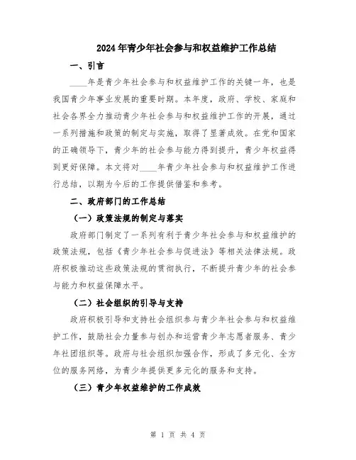 2024年青少年社会参与和权益维护工作总结