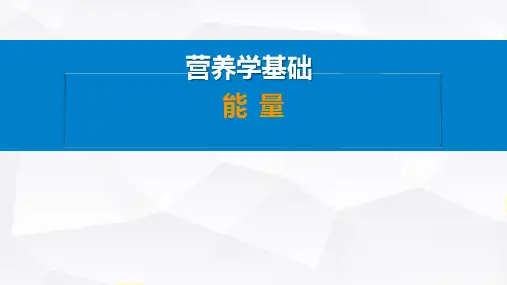 营养学基础：能量