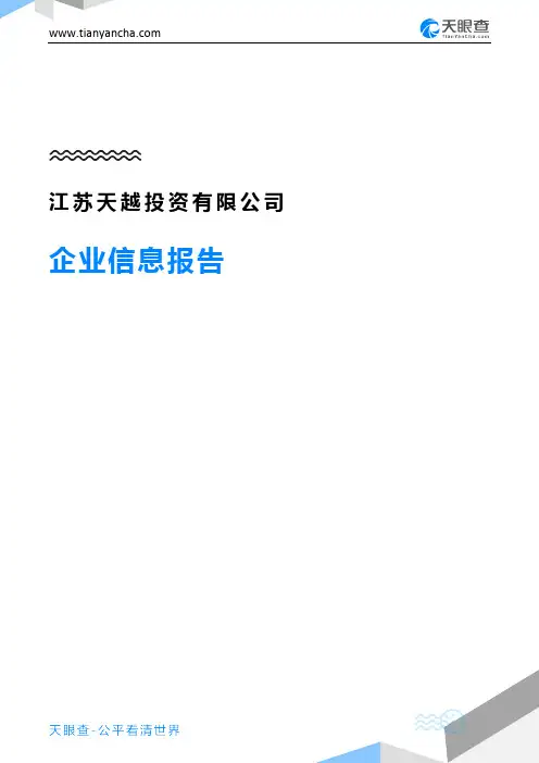 江苏天越投资有限公司企业信息报告-天眼查