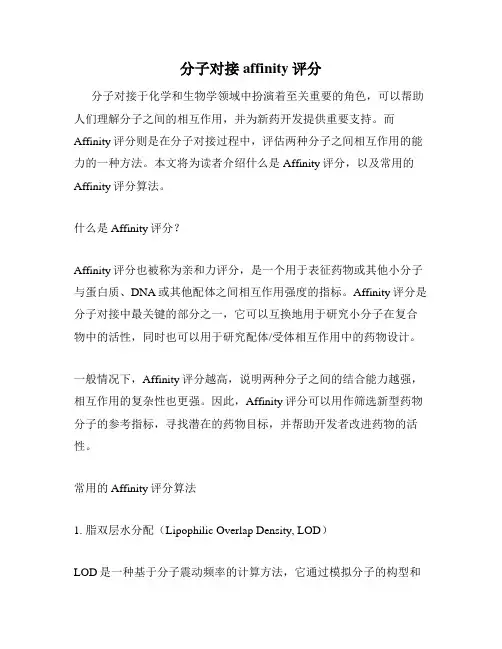 分子对接affinity评分