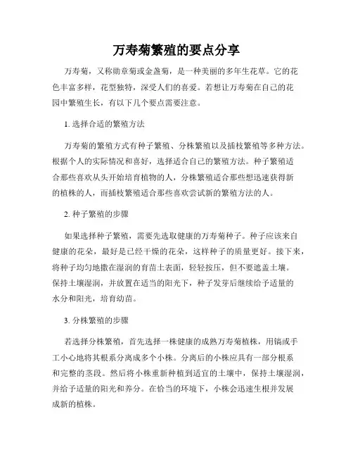 万寿菊繁殖的要点分享