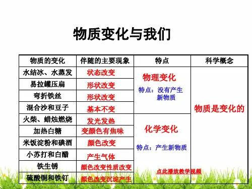 新科教版小学六年级科学下册《物质变化与我们》教学课件