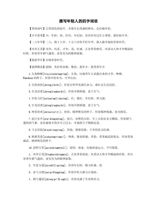 描写年轻人的四字词语