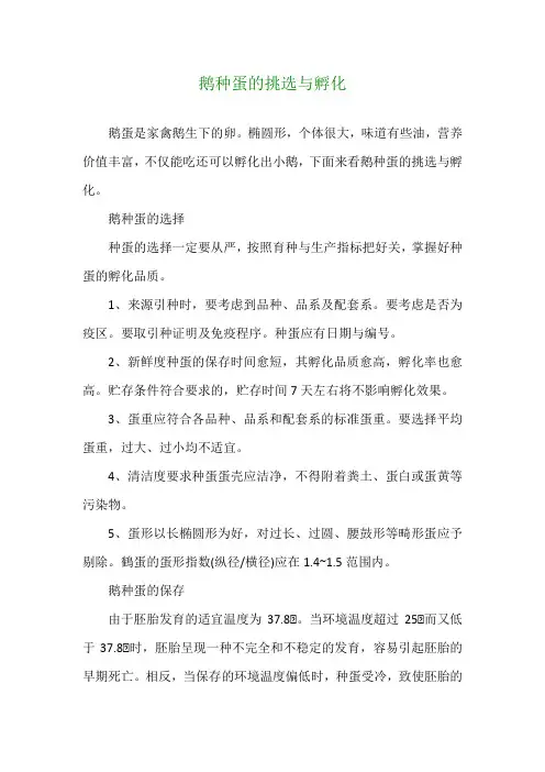 鹅种蛋的挑选与孵化