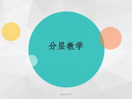 分层教学ppt课件