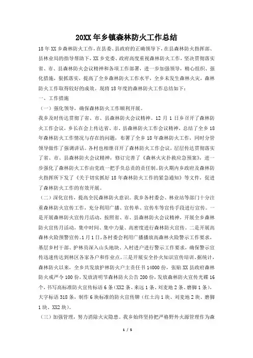 2019年乡镇森林防火工作总结范文