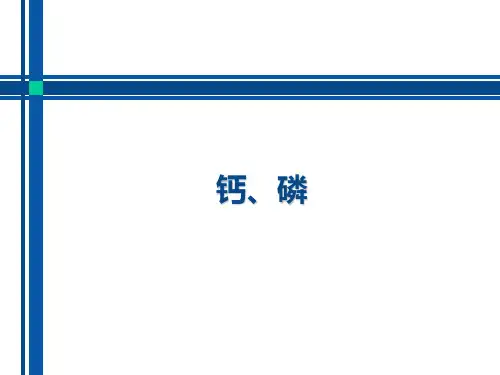 钙、磷、镁的测定及临床意义