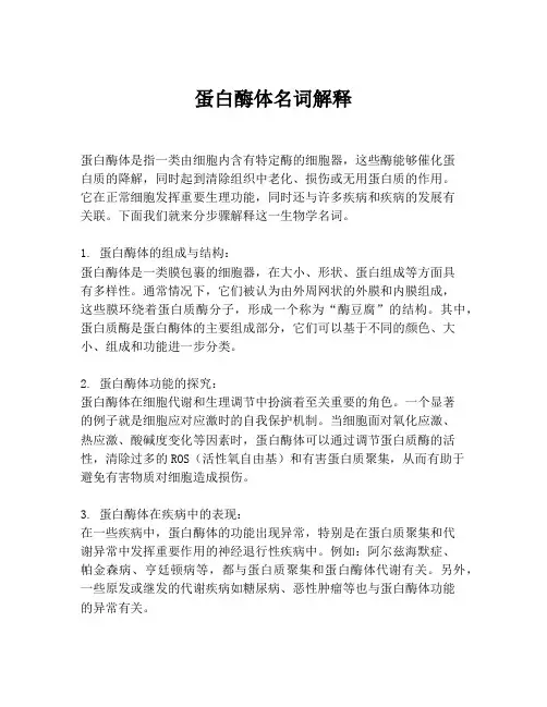 蛋白酶体名词解释
