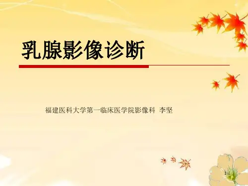 乳腺影像诊断(超全面详细)