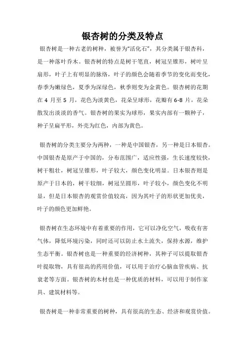 银杏树的分类及特点
