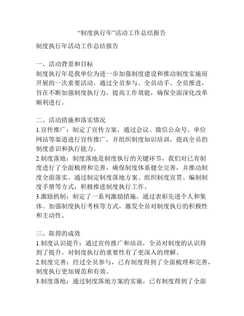 “制度执行年”活动工作总结报告