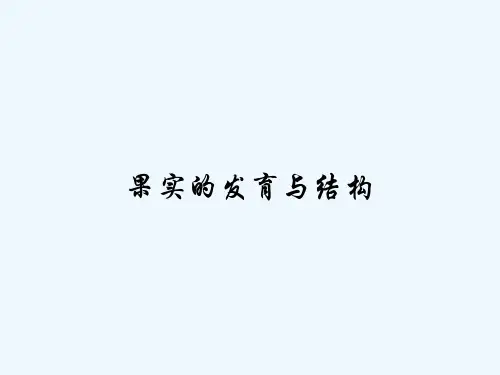 果实的发育与结构