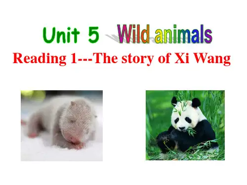牛津译林版英语八年级上册 8A Unit5 Reading公开课