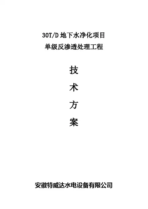 吨反渗透方案