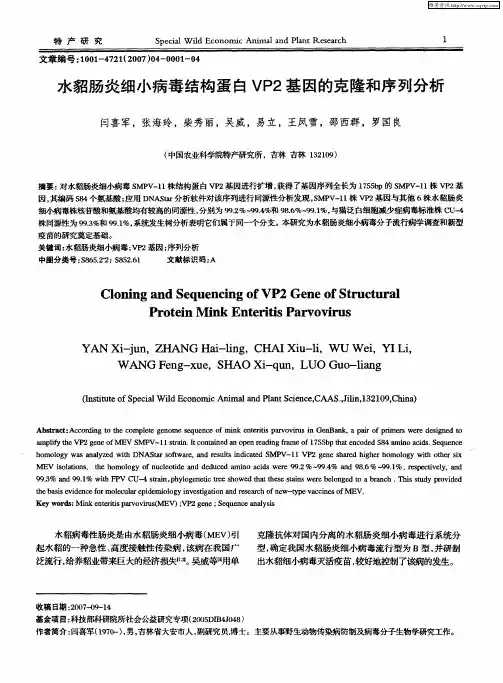 水貂肠炎细小病毒结构蛋白VP2基因的克隆和序列分析