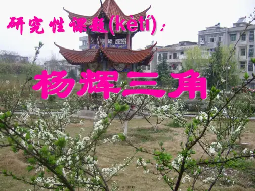 最新杨辉三角课件精品课件
