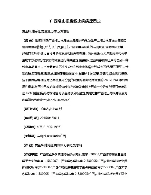 广西淮山根腐线虫病病原鉴定