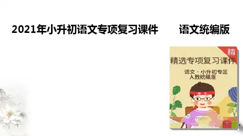 2021年小升初语文专项复习阅读技巧：6 修辞手法课件(31张PPT)