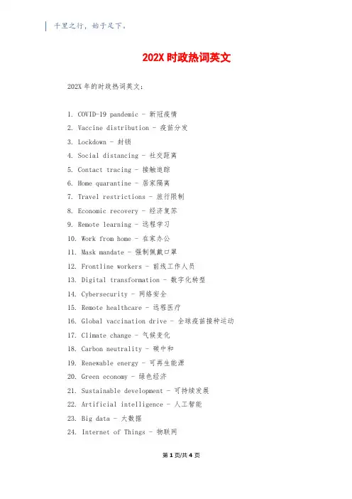 202X时政热词英文