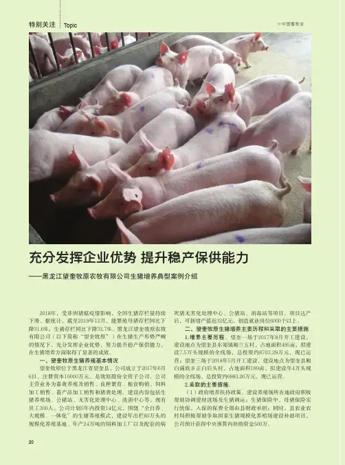 充分发挥企业优势 提升稳产保供能力——黑龙江望奎牧原农牧有限公司生猪增养典型案例介绍