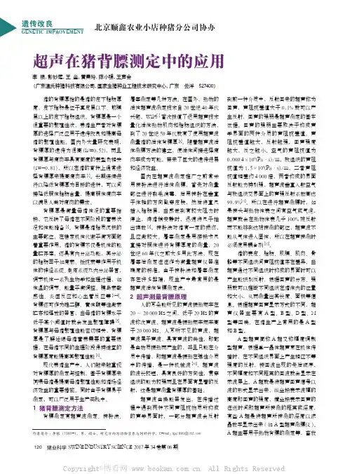 超声在猪背膘测定中的应用